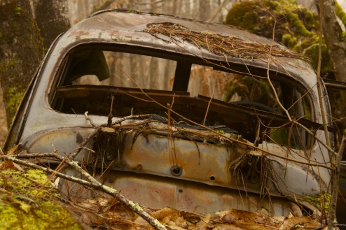 Rusty Car, Nabirat, France.